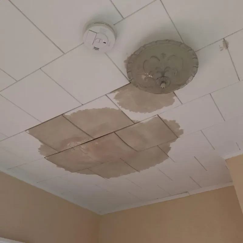Ceiling Water Damage Repair in Adams County, ND