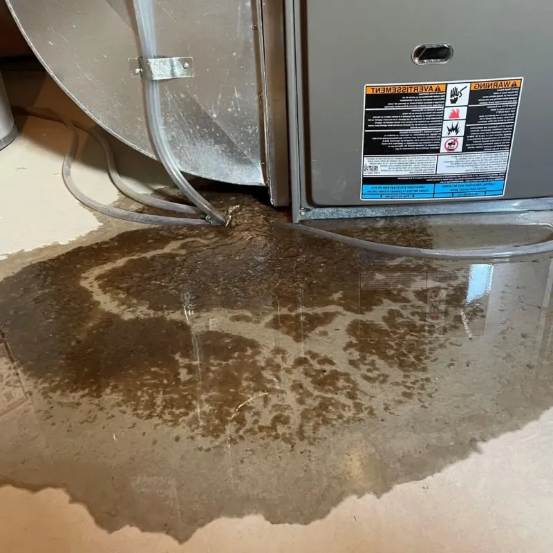 Pipe Burst and Leak Restoration in Adams County, ND