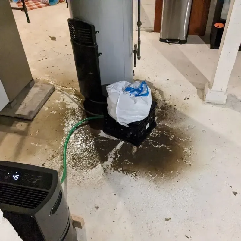 Sewage Backup Cleanup Service in Adams County, ND